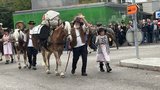 Die Säumer Via Valtellina zeigen wie Transport früher funktionierte. (Bild: Daniela Clemenz)