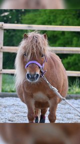 Bini nid süess? (Bild eingesendet von Andrin Künzi aus Rüegsbach) 