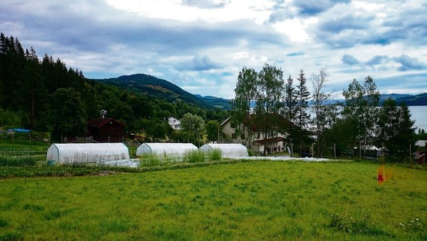 Die ersten Gastgeber Die ersten Gastgeber von Angela Ineichen hatten einen Biobetrieb mit Kleintieren und verschiedenem Gemüse. Hier die Aussicht über den Biohof und den Mjøsa-See.