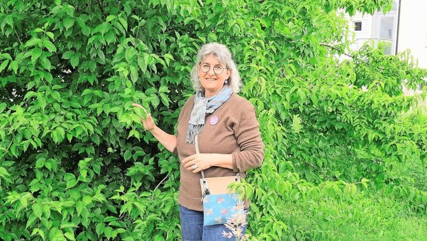 Sabine Bosshard vor einer Kornelkirsche im Schulgarten. Sie weiss, was man in der Küche aus den Früchten zaubern kann.
