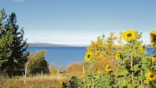 Es «herbstelet» am O Es «herbstelet» am Ootsa Lake. Die dritte Jahreszeit bringt für die Ruckstuhls neue Herausforderungen. Neben dem Mehraufwand des grossen Umzugs gibt es jedoch auch steuerliche Vorteile in der neuen Heimat.