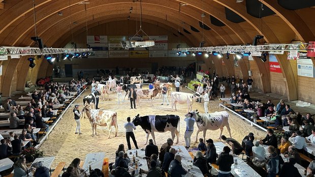 Je länger der Abend, desto mehr füllte sich die Halle. Von Interesse waren nicht nur die Tiervorführungen wie, sondern auch die anschliessende Jungzüchter-Party. (Bild: Daniela Clemenz)