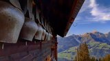 Treicheln in der Sommerpause auf der Alp Lüss, Gemeinde St.Stephan (Bild eingesendet von Afra Kuhnen) 