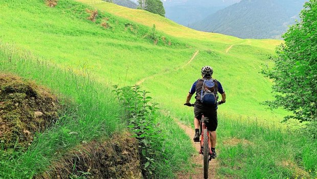Biker wollen nicht nur auf befestigten Wegen fahren. Ob auf Wanderwegen durch Wiesen und Weiden auch Biker toleriert werden, wird regional sehr unterschiedlich gehandhabt. 