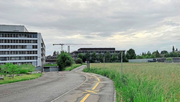 Auf dem Gelände gebe es u. a. unterirdische Sitzungsräume und eine Einstellhalle, es sei nicht fürs Befahren mit einem Traktor gemacht. Ausserdem handle es sich bei den Wiesen rund ums BLW um verpachtete BFF.