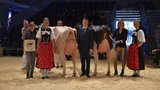 Starzüchter RH/HO wurde Matthias Gerber aus Signau mit seinen Kühen Gratgerber`s Doral Chic (r.) und Gratgerber`s Arrow Caya. (Bild: Peter Fankhauser)